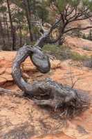 IMG_5179.JPG IMG_5179.JPG