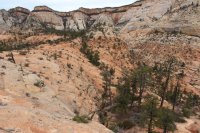 IMG_5182.JPG IMG_5182.JPG