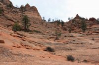 IMG_5270.JPG IMG_5270.JPG