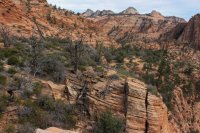 IMG_5275.JPG IMG_5275.JPG