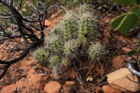 IMG_5283.JPG IMG_5283.JPG