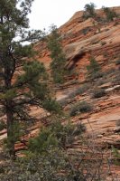 IMG_5286.JPG IMG_5286.JPG