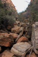 IMG_5288.JPG IMG_5288.JPG