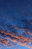 IMG_5334.JPG IMG_5334.JPG