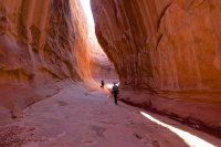 IMG_5760.jpg IMG_5760.jpg