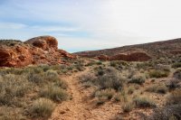 Escalante Spring Break Pt 2-2.jpg