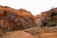 Escalante Spring Break Pt 2-18.jpg