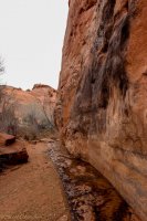 Escalante Spring Break Pt 2-20.jpg