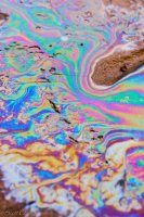 Escalante Spring Break Pt 2-32.jpg