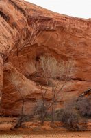 Escalante Spring Break Pt 2-34.jpg