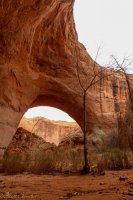 Escalante Spring Break Pt 2-40.jpg