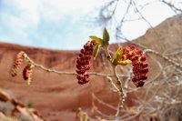 Escalante Spring Break Pt 2-50.jpg