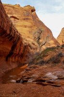 Escalante Spring Break Pt 2-56.jpg