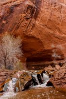 Escalante Spring Break Pt 2-57.jpg