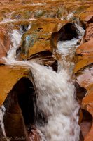 Escalante Spring Break Pt 2-58.jpg