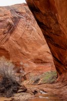 Escalante Spring Break Pt 2-60.jpg