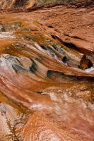 Escalante Spring Break Pt 2-63.jpg Escalante Spring Break Pt 2-63.jpg