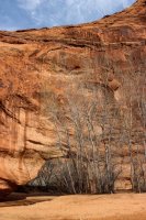 Escalante Spring Break Pt 2-70.jpg