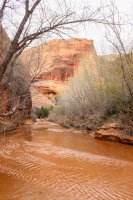 Escalante Spring Break Pt 2-74.jpg