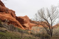 Escalante Spring Break Pt 2-79.jpg