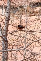 Escalante Spring Break Pt 2-89.jpg