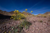 _MG_4806.jpg _MG_4806.jpg