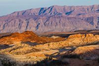 _MG_2900.jpg _MG_2900.jpg