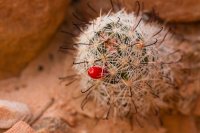 _MG_2877.jpg _MG_2877.jpg