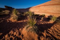 _MG_5589.jpg _MG_5589.jpg