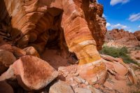 _MG_5549.jpg _MG_5549.jpg