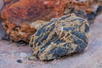 _MG_2805.jpg _MG_2805.jpg