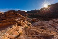 _MG_5498.jpg _MG_5498.jpg