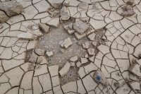 _MG_5070.jpg _MG_5070.jpg