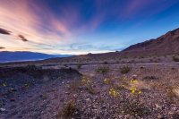 _MG_4980-HDR.jpg _MG_4980-HDR.jpg
