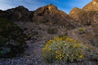 _MG_4932.jpg _MG_4932.jpg