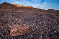 _MG_4955.jpg _MG_4955.jpg