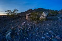 _MG_5007.jpg _MG_5007.jpg