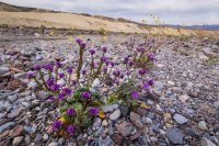 _MG_5123.jpg _MG_5123.jpg