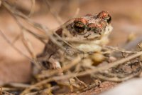 _MG_2876.jpg _MG_2876.jpg