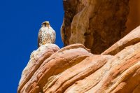 _MG_2845.jpg _MG_2845.jpg