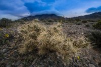 _MG_5297.jpg _MG_5297.jpg