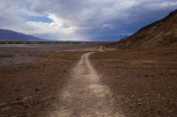 _MG_5275.jpg _MG_5275.jpg