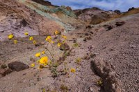 _MG_5212.jpg _MG_5212.jpg