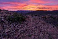 _MG_5013.jpg _MG_5013.jpg