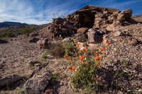 _MG_4877.jpg _MG_4877.jpg