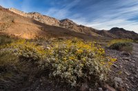 _MG_4907.jpg _MG_4907.jpg