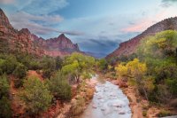 des 2 295imp resized.jpg