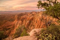 des4 588imp resized.jpg des4 588imp resized.jpg