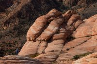 des4 658 imp - resized.jpg des4 658 imp - resized.jpg