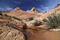 des4 672 resized.jpg des4 672 resized.jpg